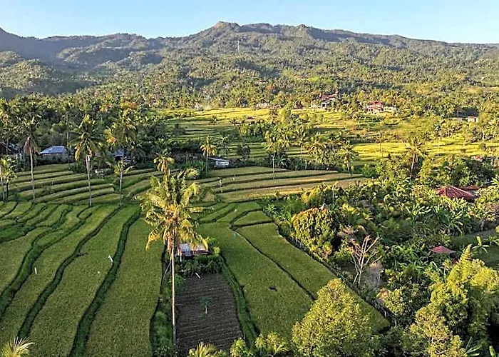 Kubu Sambangan Bali